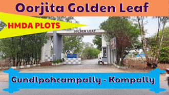 Oorjita Golden Leaf
