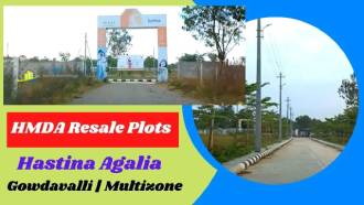 Hastina Agalia