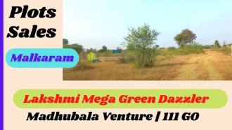 Lakshmi Mega Green Dazzler