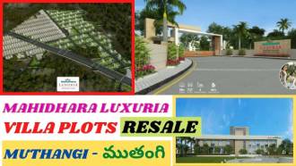 Mahidhara Luxuria