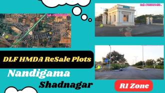 DLF Garden