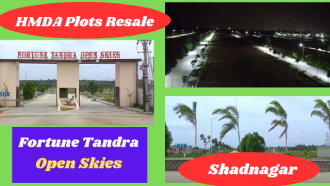 Fortune Tandra Open Skies