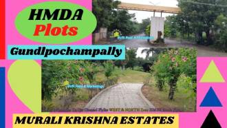 Murali Krishna Estates