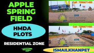 Apple Spring Field