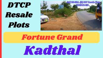 Fortune Grand
