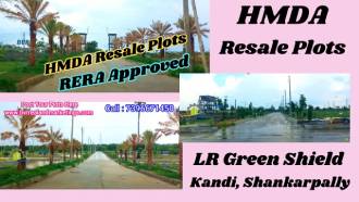 LR Green Shields