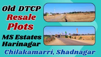 Hari Nagar