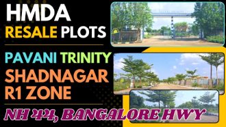 Pavan Trinity