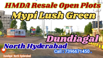 Mypi Lush Green